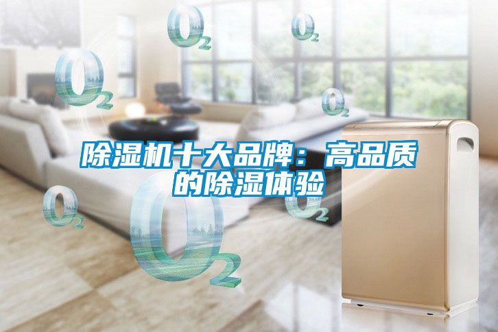 除濕機十大品牌：高品質(zhì)的除濕體驗