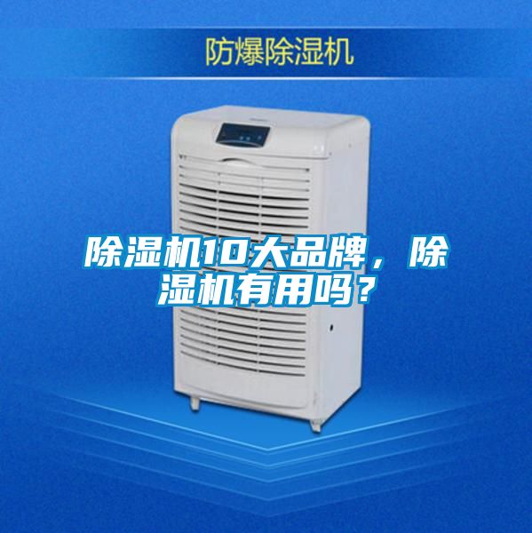 除濕機(jī)10大品牌，除濕機(jī)有用嗎？