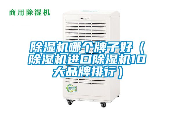除濕機(jī)哪個(gè)牌子好（除濕機(jī)進(jìn)口除濕機(jī)10大品牌排行）