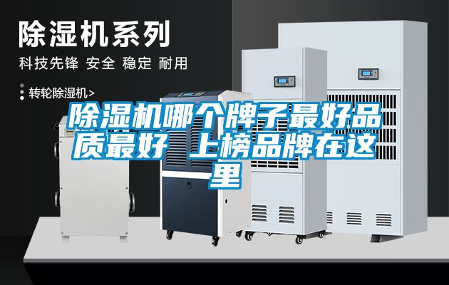 除濕機(jī)哪個(gè)牌子最好品質(zhì)最好 上榜品牌在這里