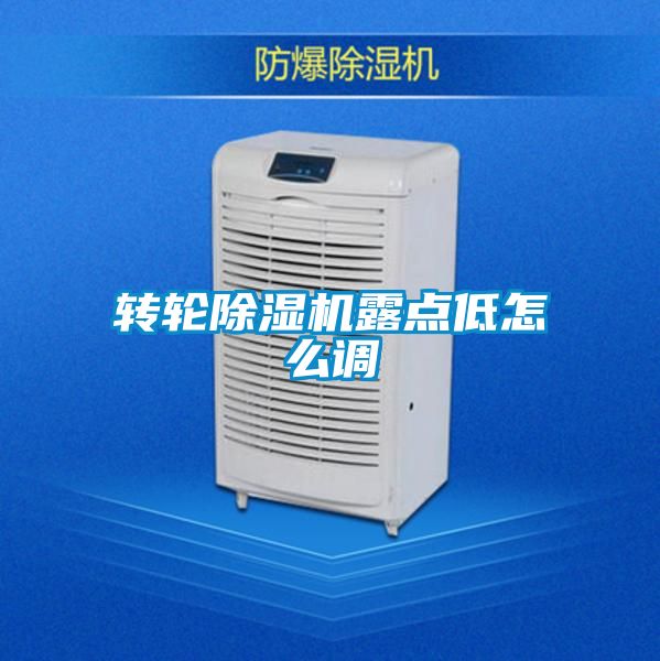 轉(zhuǎn)輪除濕機(jī)露點低怎么調(diào)
