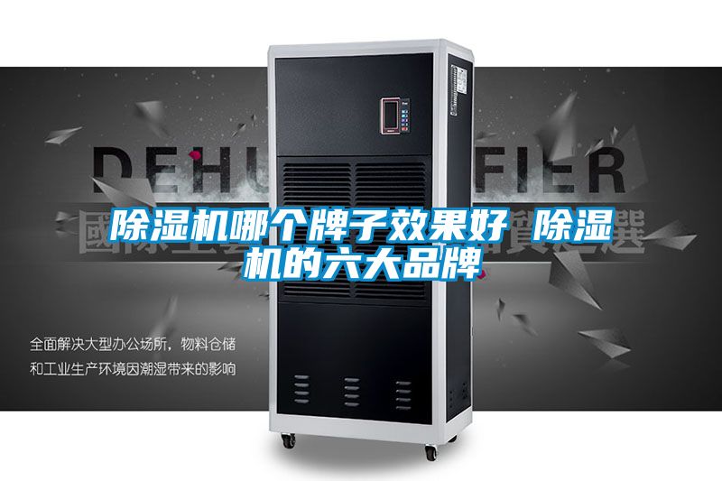 除濕機(jī)哪個(gè)牌子效果好 除濕機(jī)的六大品牌