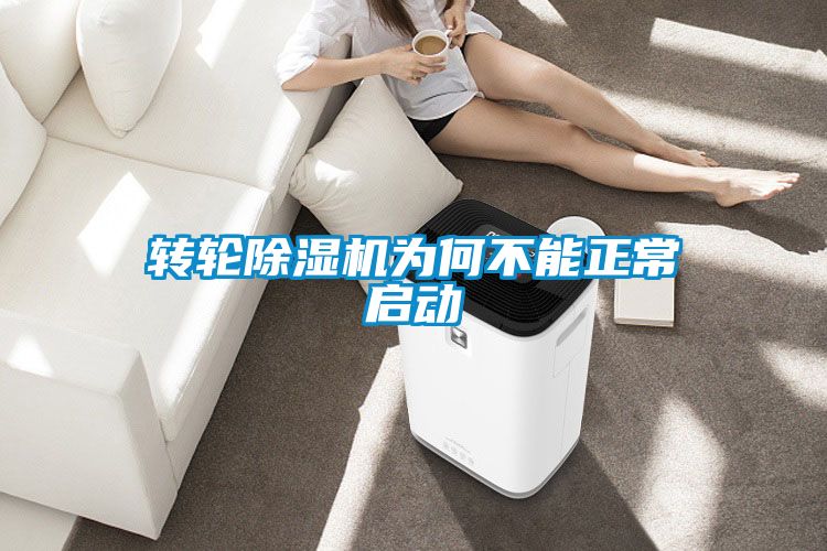 轉(zhuǎn)輪除濕機(jī)為何不能正常啟動(dòng)