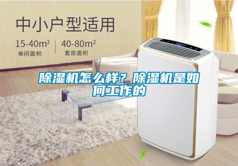 除濕機怎么樣？除濕機是如何工作的