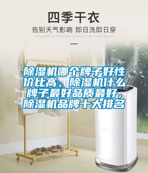 除濕機哪個牌子好性價比高，除濕機什么牌子最好品質(zhì)最好，除濕機品牌十大排名