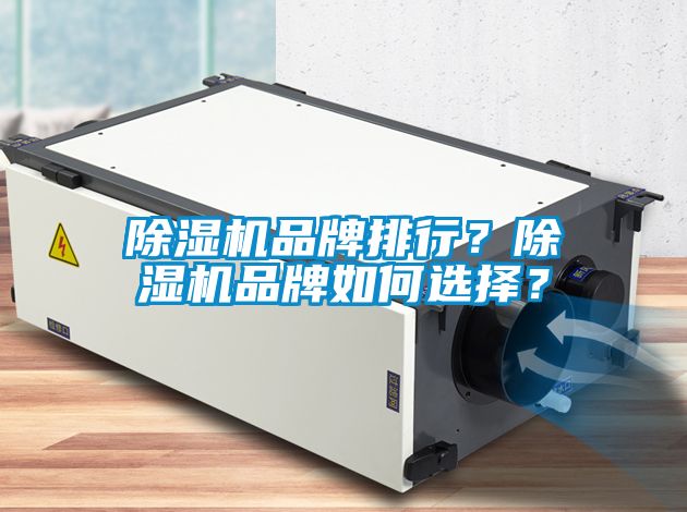 除濕機(jī)品牌排行？除濕機(jī)品牌如何選擇？