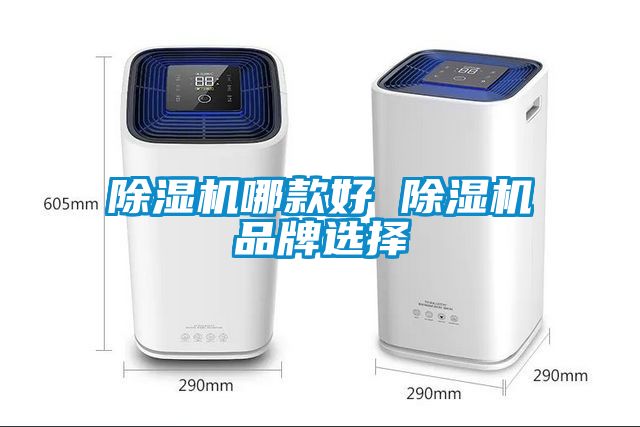 除濕機(jī)哪款好 除濕機(jī)品牌選擇