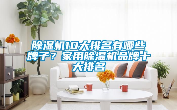 除濕機(jī)10大排名有哪些牌子？家用除濕機(jī)品牌十大排名