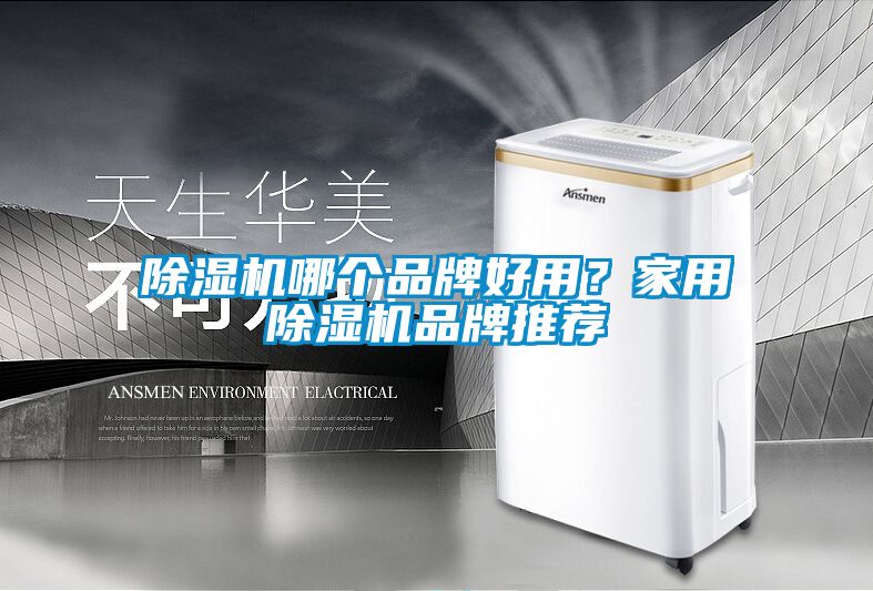 除濕機哪個品牌好用？家用除濕機品牌推薦