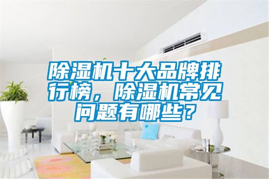 除濕機十大品牌排行榜，除濕機常見問題有哪些？