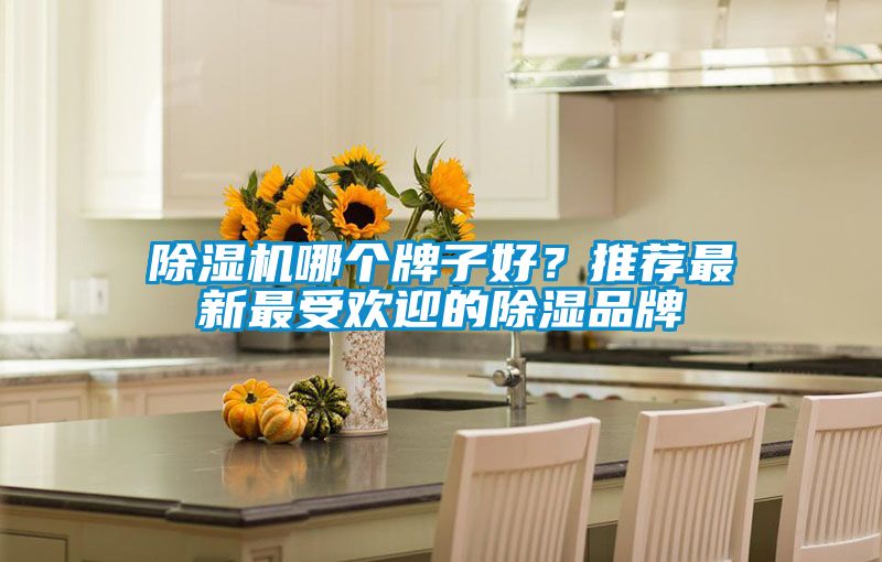 除濕機(jī)哪個(gè)牌子好？推薦最新最受歡迎的除濕品牌