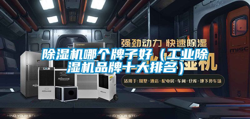 除濕機哪個牌子好（工業(yè)除濕機品牌十大排名）