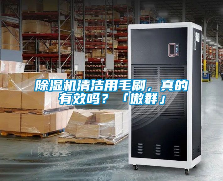 除濕機清潔用毛刷，真的有效嗎？「傲群」