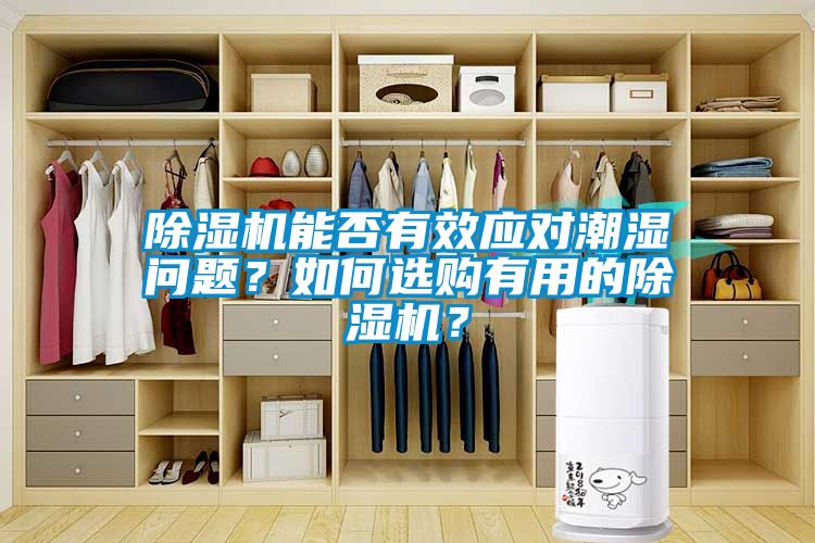 除濕機(jī)能否有效應(yīng)對潮濕問題？如何選購有用的除濕機(jī)？