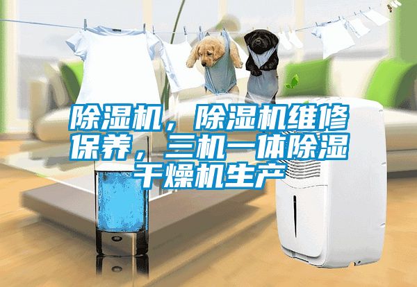 除濕機，除濕機維修保養(yǎng)，三機一體除濕干燥機生產(chǎn)
