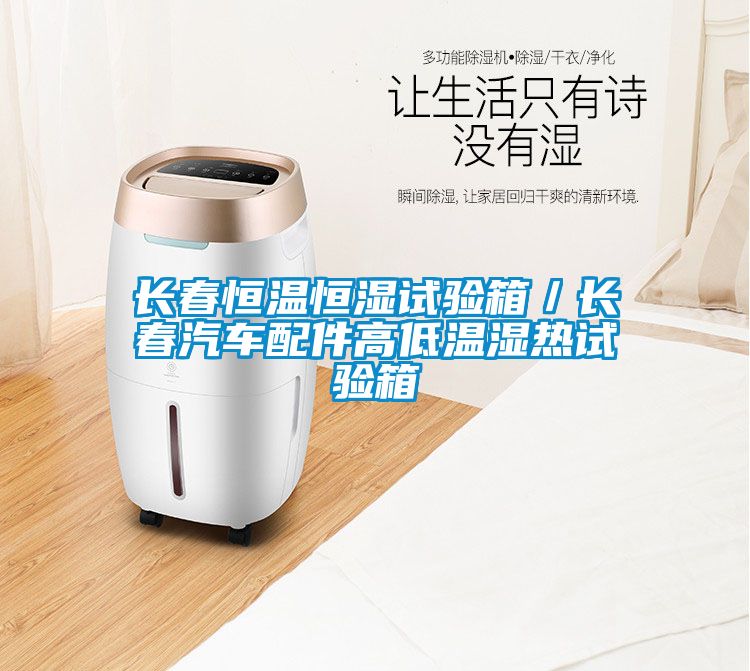 長(zhǎng)春恒溫恒濕試驗(yàn)箱／長(zhǎng)春汽車(chē)配件高低溫濕熱試驗(yàn)箱