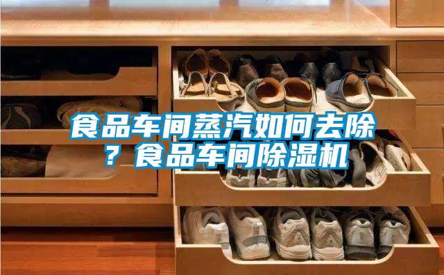 食品車間蒸汽如何去除？食品車間除濕機