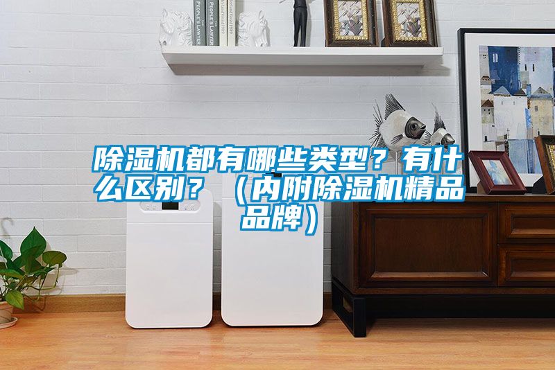 除濕機都有哪些類型？有什么區(qū)別？（內(nèi)附除濕機精品品牌）