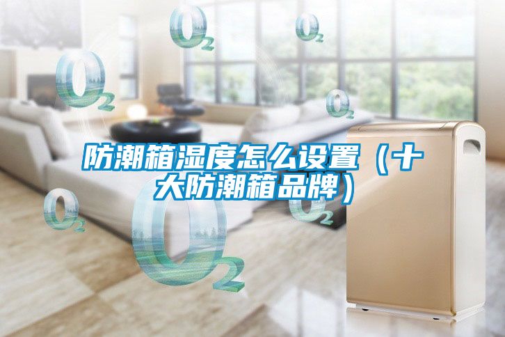 防潮箱濕度怎么設(shè)置（十大防潮箱品牌）