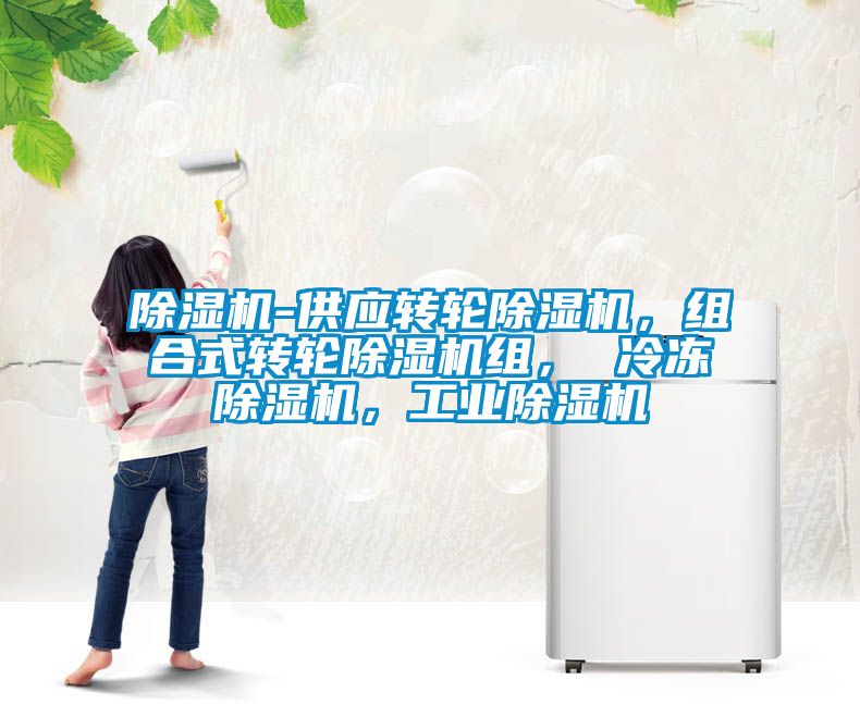 除濕機(jī)-供應(yīng)轉(zhuǎn)輪除濕機(jī)，組合式轉(zhuǎn)輪除濕機(jī)組， 冷凍除濕機(jī)，工業(yè)除濕機(jī)