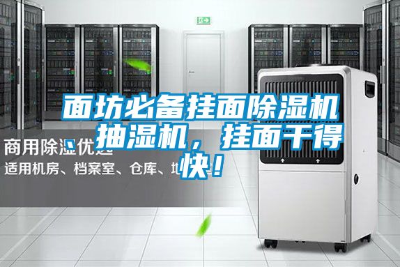 面坊必備掛面除濕機(jī)、抽濕機(jī)，掛面干得快！
