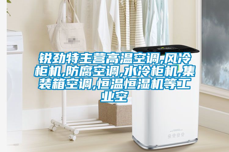 銳勁特主營(yíng)高溫空調(diào),風(fēng)冷柜機(jī),防腐空調(diào),水冷柜機(jī),集裝箱空調(diào),恒溫恒濕機(jī)等工業(yè)空