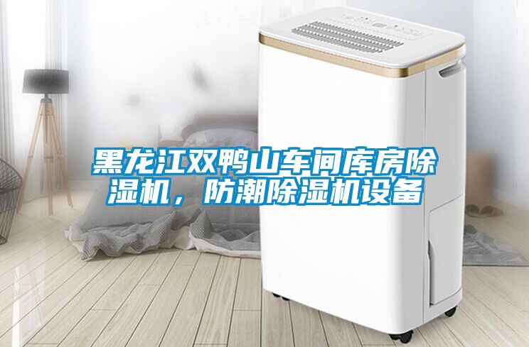 黑龍江雙鴨山車間庫房除濕機，防潮除濕機設備