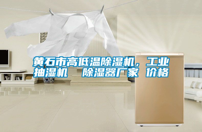 黃石市高低溫除濕機，工業(yè)抽濕機  除濕器廠家 價格