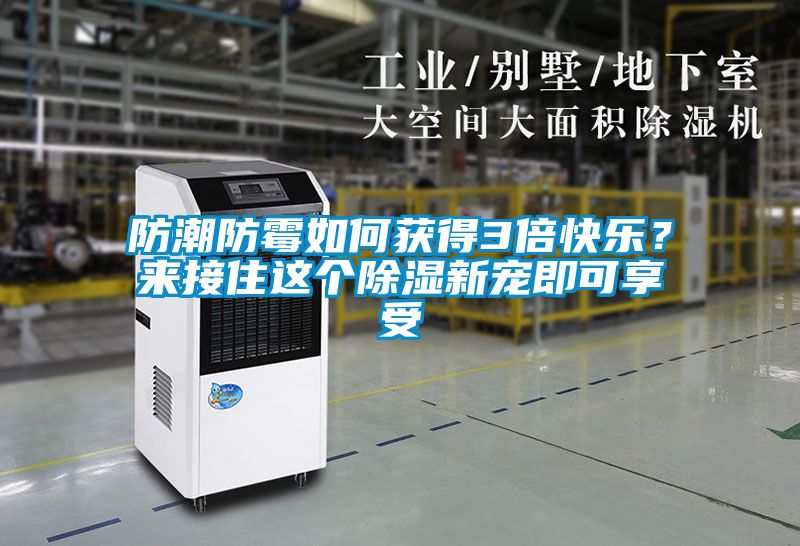防潮防霉如何獲得3倍快樂？來接住這個(gè)除濕新寵即可享受