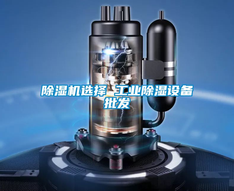 除濕機(jī)選擇 工業(yè)除濕設(shè)備批發(fā)