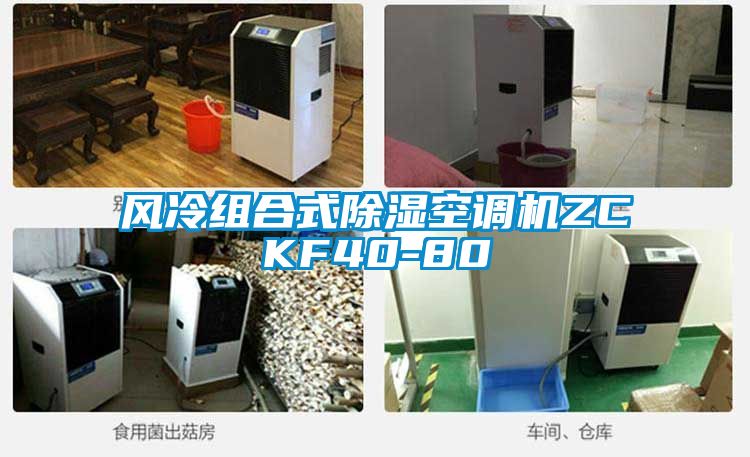 風(fēng)冷組合式除濕空調(diào)機ZCKF40-80
