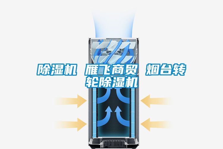 除濕機(jī) 雁飛商貿(mào) 煙臺(tái)轉(zhuǎn)輪除濕機(jī)
