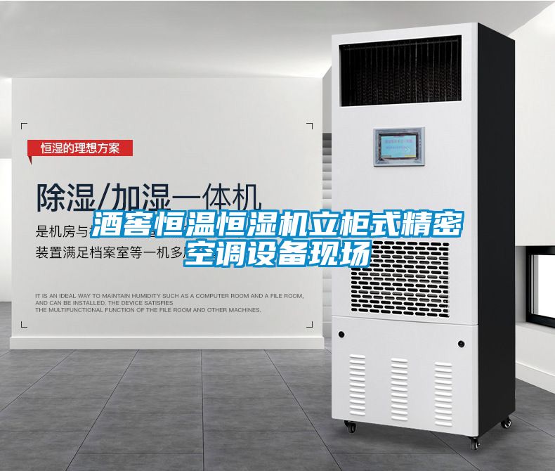 酒窖恒溫恒濕機立柜式精密空調(diào)設備現(xiàn)場
