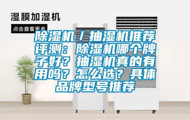 除濕機／抽濕機推薦評測：除濕機哪個牌子好？抽濕機真的有用嗎？怎么選？具體品牌型號推薦