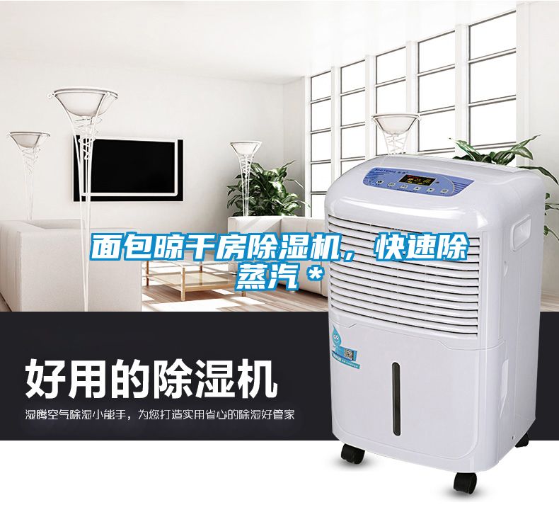 面包晾干房除濕機(jī)，快速除蒸汽＊