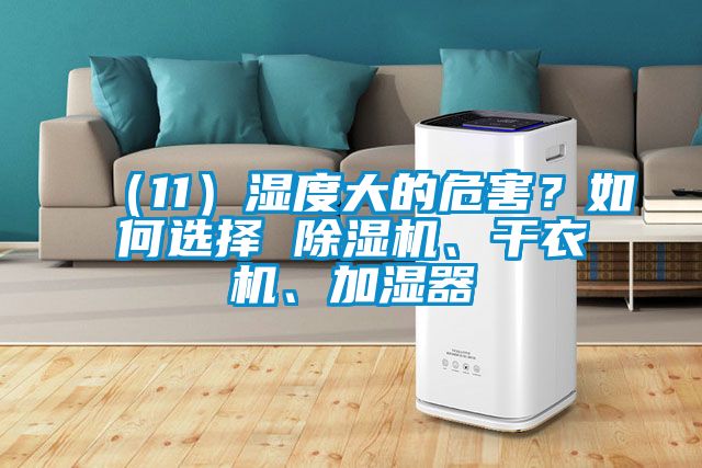 （11）濕度大的危害？如何選擇 除濕機(jī)、干衣機(jī)、加濕器