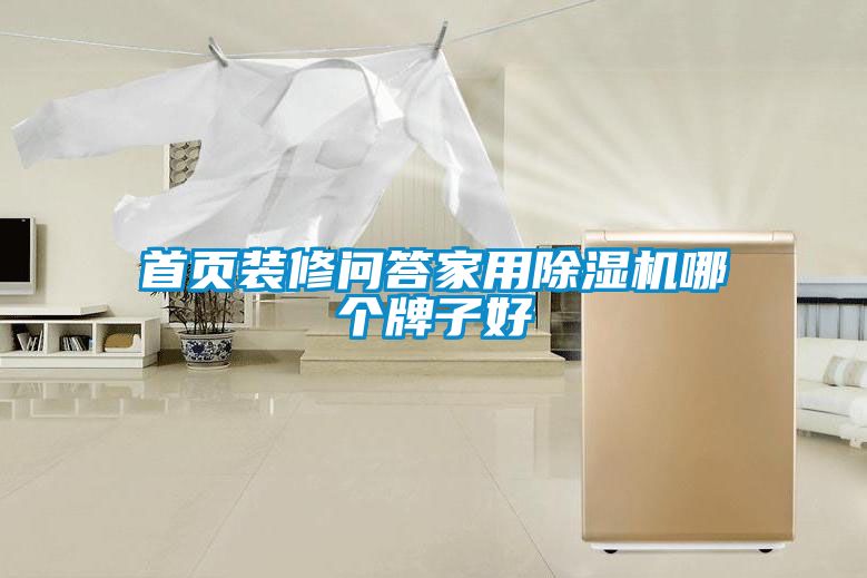 首頁裝修問答家用除濕機(jī)哪個牌子好