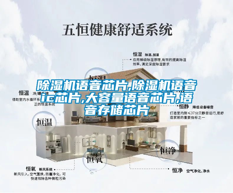 除濕機(jī)語(yǔ)音芯片,除濕機(jī)語(yǔ)音ic芯片,大容量語(yǔ)音芯片,語(yǔ)音存儲(chǔ)芯片