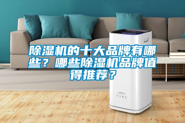 除濕機(jī)的十大品牌有哪些？哪些除濕機(jī)品牌值得推薦？