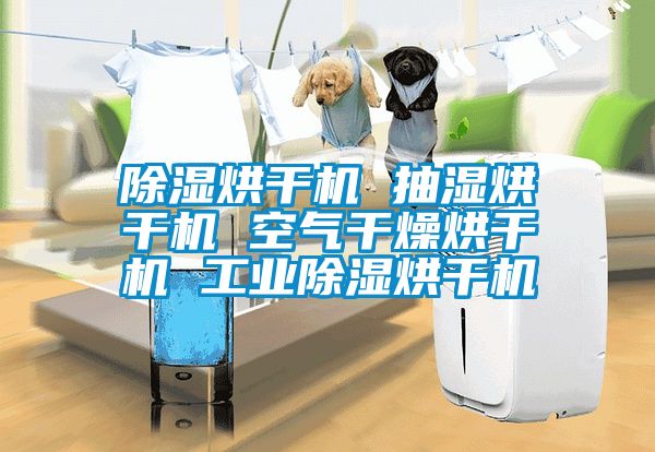 除濕烘干機(jī) 抽濕烘干機(jī) 空氣干燥烘干機(jī) 工業(yè)除濕烘干機(jī)