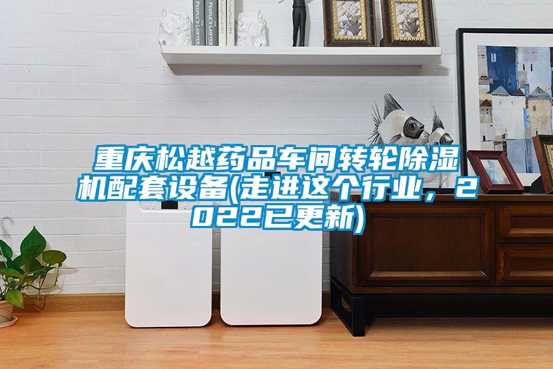 重慶松越藥品車間轉(zhuǎn)輪除濕機(jī)配套設(shè)備(走進(jìn)這個(gè)行業(yè)，2022已更新)