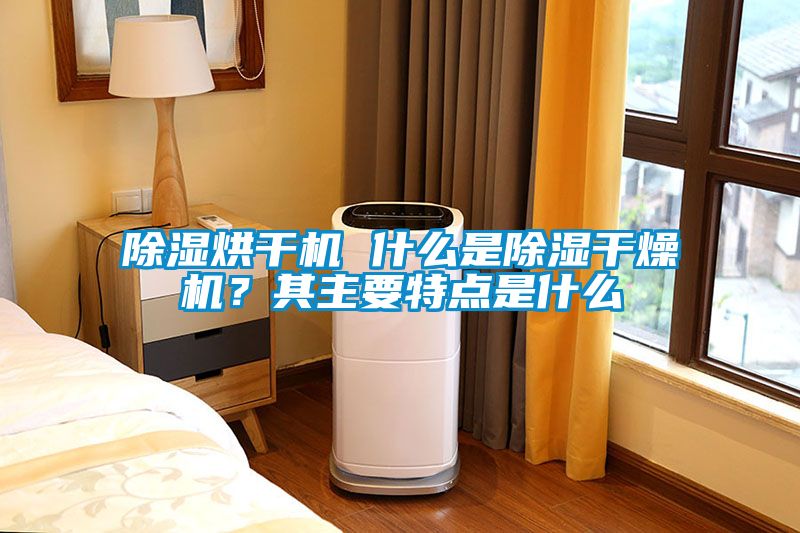 除濕烘干機(jī) 什么是除濕干燥機(jī)？其主要特點(diǎn)是什么