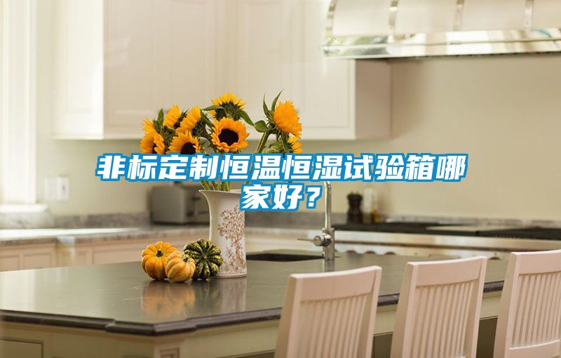 非標定制恒溫恒濕試驗箱哪家好？
