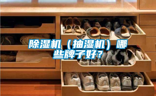 除濕機(jī)（抽濕機(jī)）哪些牌子好？
