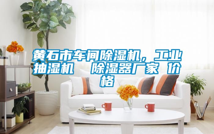黃石市車間除濕機，工業(yè)抽濕機  除濕器廠家 價格