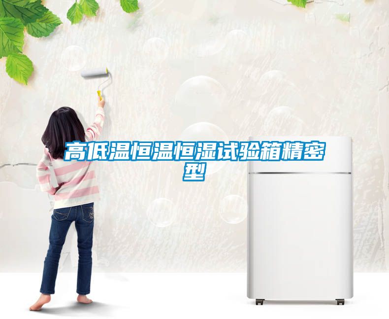 高低溫恒溫恒濕試驗箱精密型