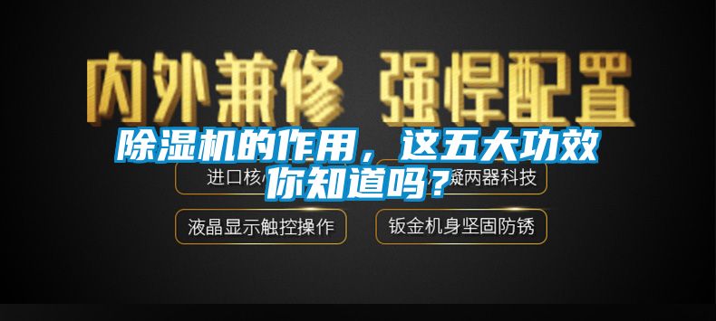 除濕機(jī)的作用，這五大功效你知道嗎？