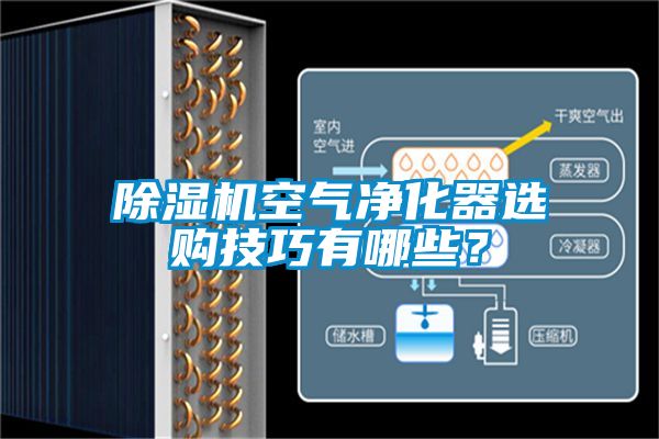 除濕機空氣凈化器選購技巧有哪些？