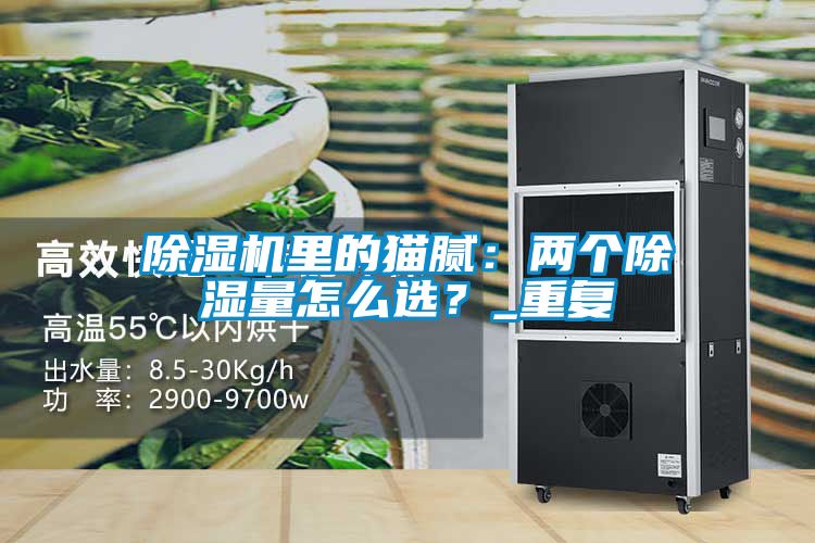 除濕機里的貓膩：兩個除濕量怎么選？_重復