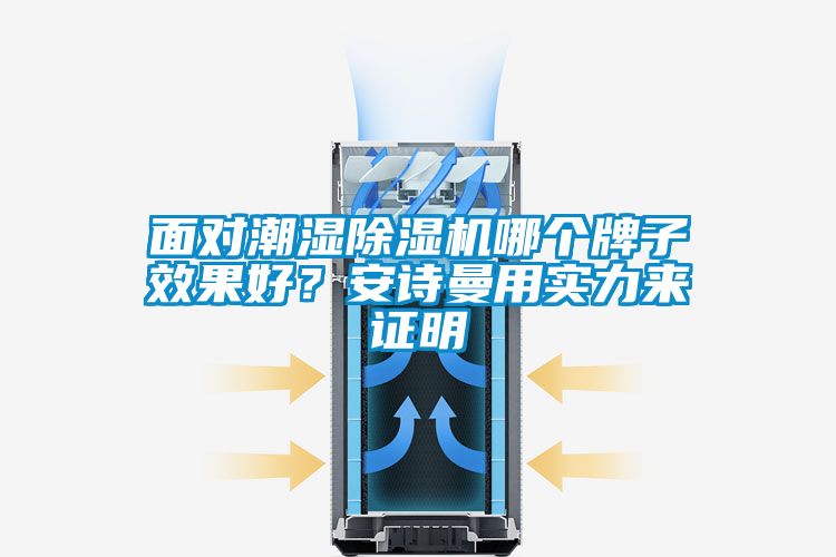 面對(duì)潮濕除濕機(jī)哪個(gè)牌子效果好？安詩曼用實(shí)力來證明